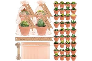 MTLEE 36 Pcs Succulent Tealight Candles - Bulk Party & Baby Shower Pack with Terracotta Pot, Organza Bag, Tags, Twine