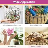 Riare Natural Sphagnum Moss 100g Long-Fibered Orchid Carnivorous Plants view 6