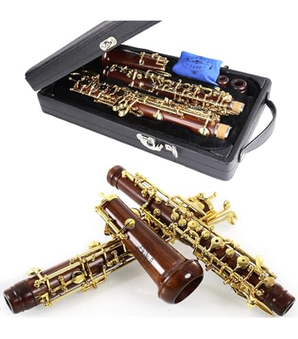 Amazon.com: SELMER Oboe, black (120B) : Musical Instruments
