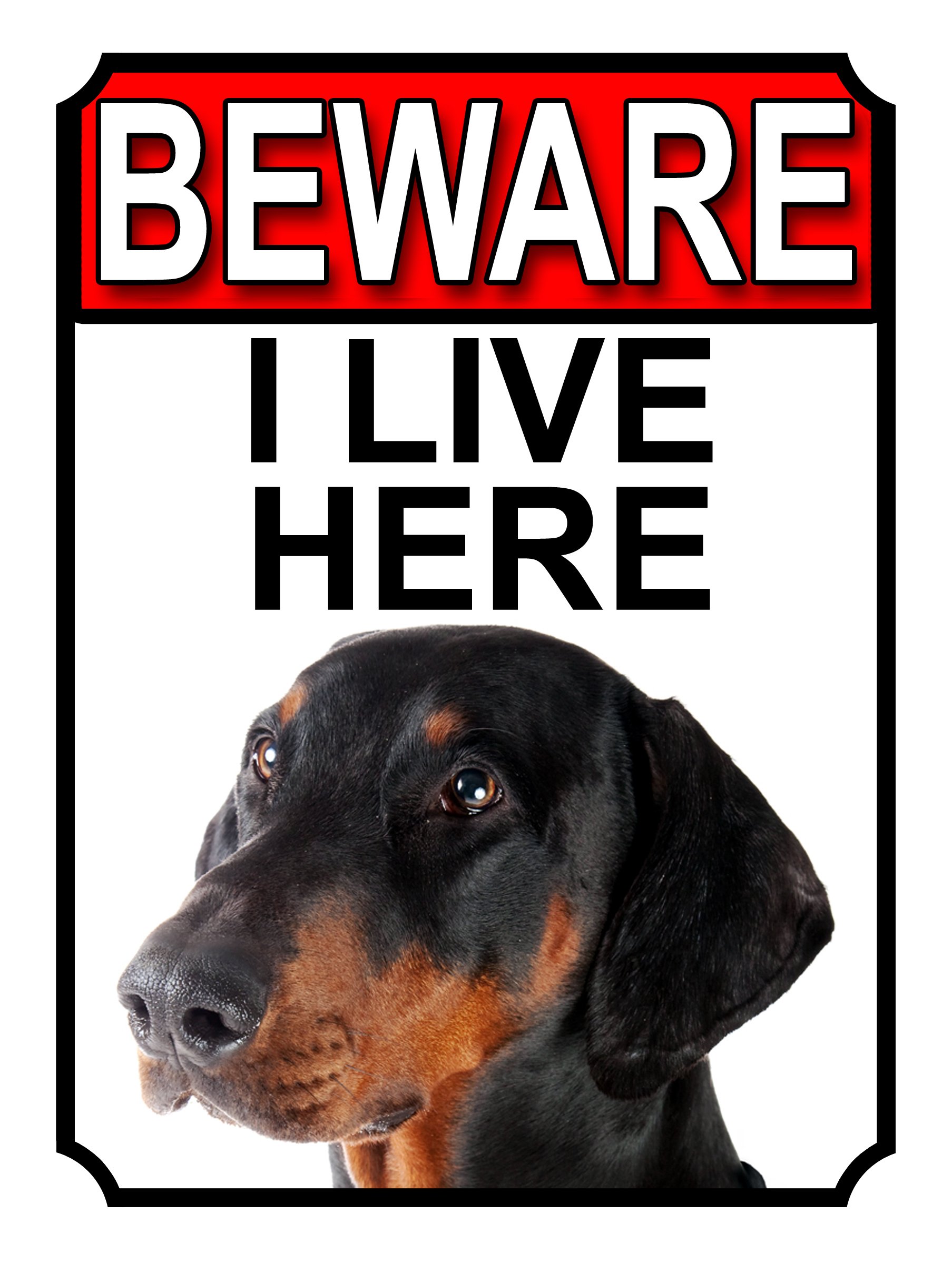 Shawprint BEWARE I LIVE HERE METAL GATE SIGN DOBERMAN PINSCHER 200MM X 10MM (1058H1)