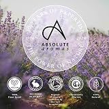 Absolute Aromas Eucalyptus Essential Oil 10ml - Pure & Natural Aromatherapy view 8