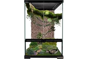waazoorep 11 Gallon Reptile Glass Tank Vertical Terrarium 12"x12"x18" Habitat Enclosure with Front Openning Door and Top Screen Ventilation for Geckos, Snakes,Tree Frogs,Chameleon
