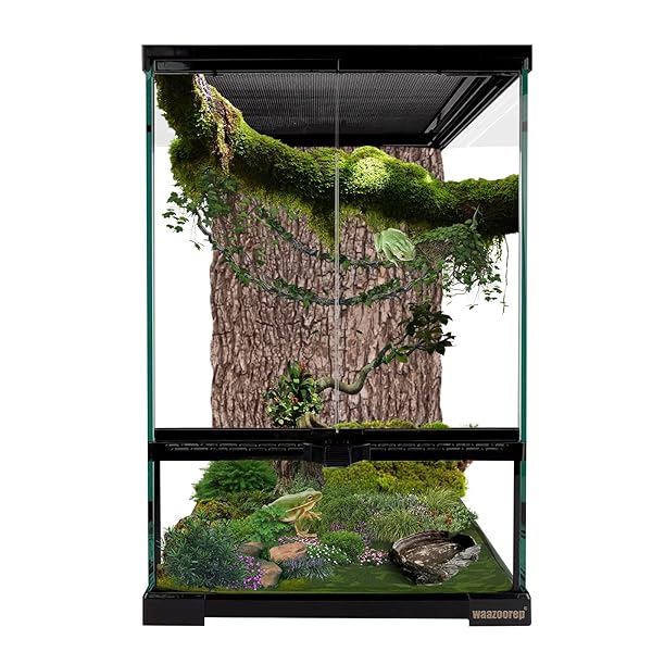 WAAZOOREP 11 GALLON REPTILE GLASS TANK VERTICAL TERRARIUM...