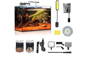 WONDERFACTORY Small Aquarium Set Glass 2.6 Gallon Fish Tank, Starter Kit with Heater Self Cleaning System Efficiency Filter Bright Light Rocks Gravel Cleaning Tool, Leak-Proof Ultra-Clear Rimless Desktop Betta Tank