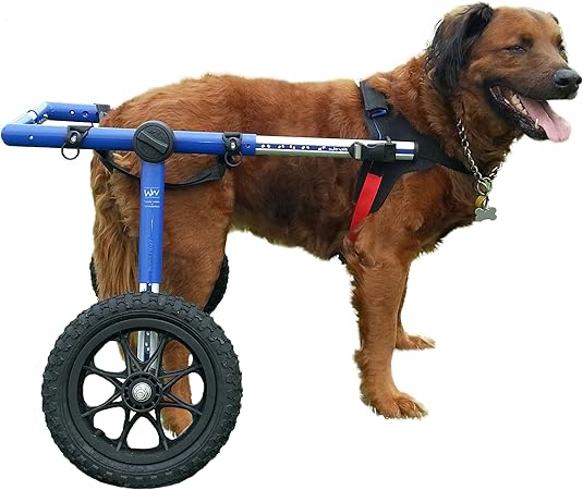 silla de ruedas para perros amazon