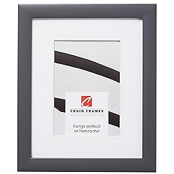 Craig Frames 23247635 24 x 36 Inch Grey Picture
