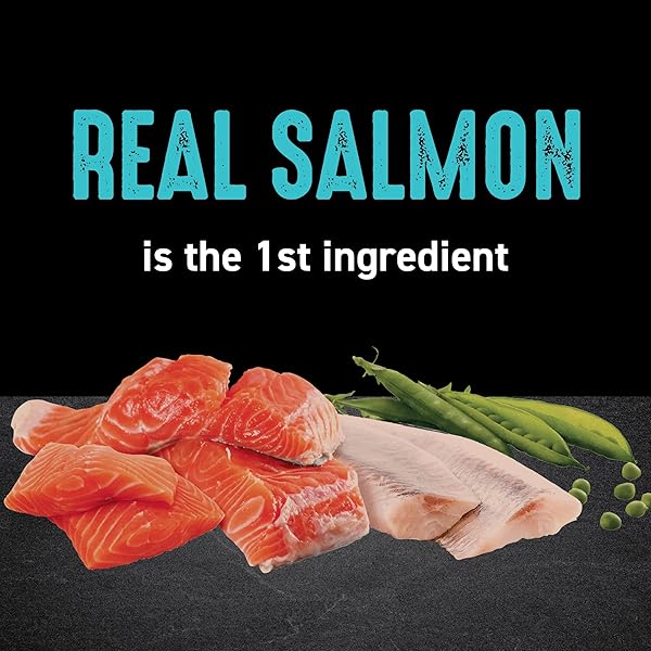 CRAVE GRAIN FREE ADULT HIGH PROTEIN NATURAL DRY CAT FOOD WITH PROTEIN FROM SALMON & OCEAN FISH 4 LB