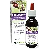 Naturalma Horse Chestnut (Aesculus hippocastanum) Seed Alcohol-Free Tincture - 4 fl oz Liquid Extract in Drops - Herbal Supplement - Vegan