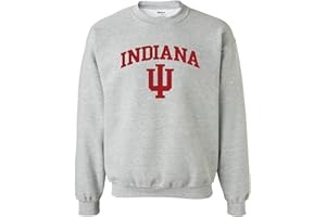 UGP Campus Apparel NCAA Arch Logo, Team Color Crewneck, College, University