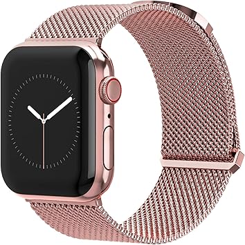 apple watch series 3 magnetic band