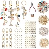 Starry 223Pcs Keychain Making Kit Bag Charm Kit 86 Charms 10 Keychain Clips with Key Ring Jewelry Plier,15 Extender Chain Swivel Snap Hooks Gold Charms 100 Jump Ring DIY Craft Supplies