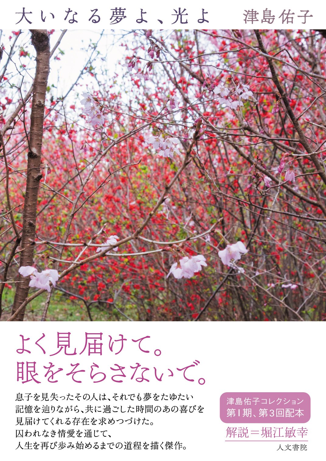 大いなる夢よ 光よ 津島佑子コレクション 津島 佑子 堀江 敏幸 本 通販 Amazon