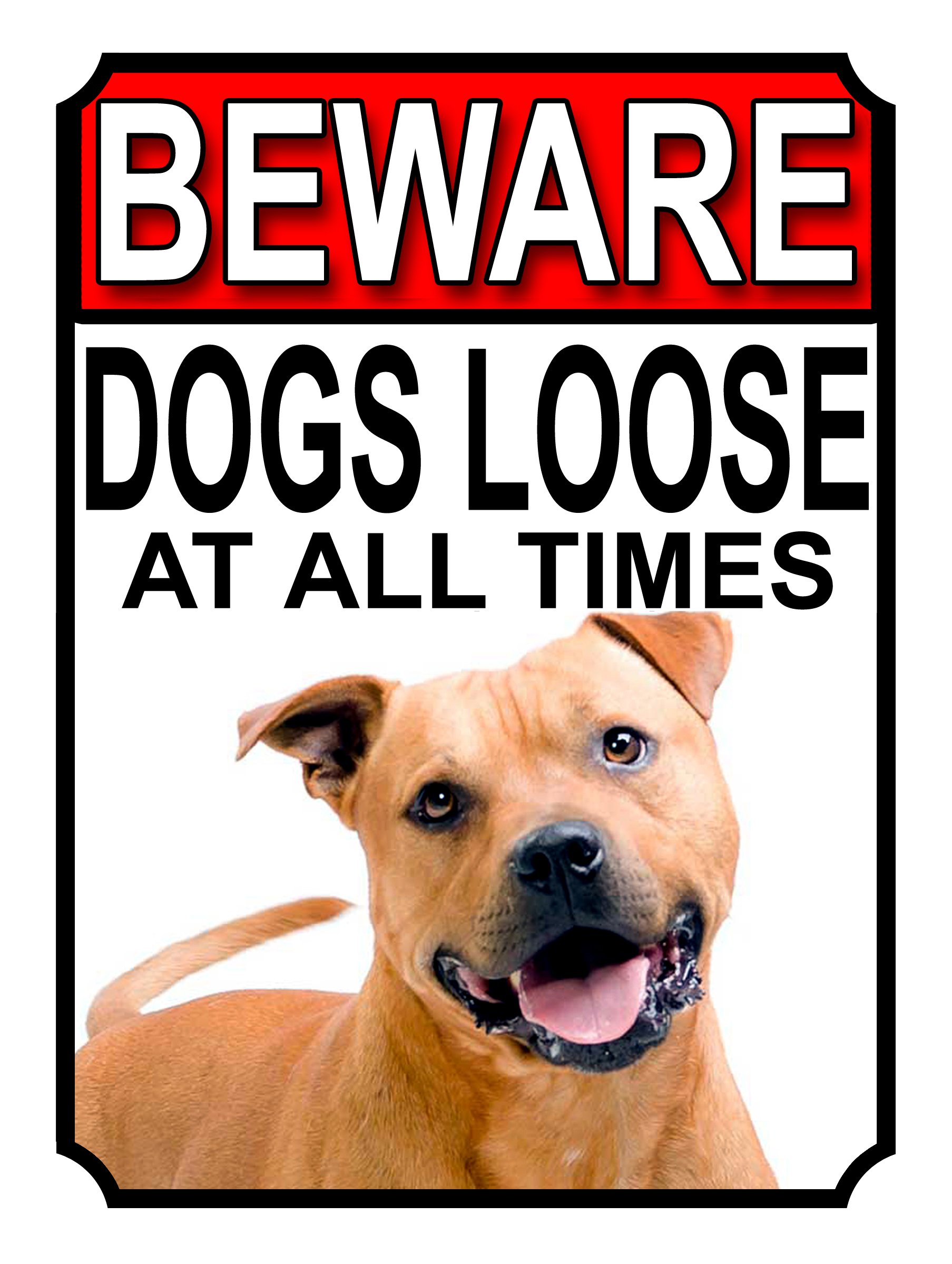 BEWARE DOGS LOOSE AT ALL TIMES METAL SIGN AMERICAN PIT BULL 200MM X 150MM (970H1)