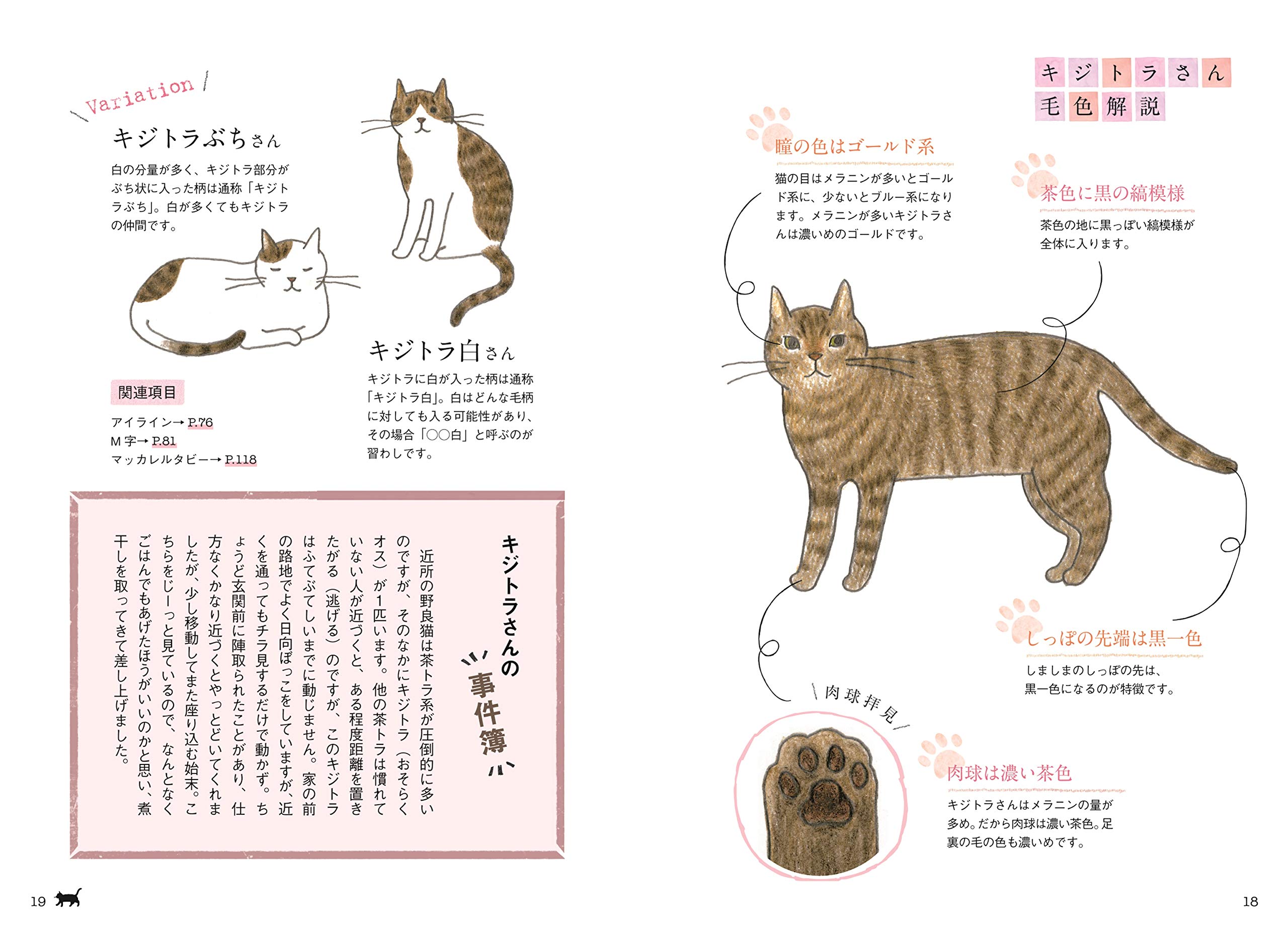 Amazon Co Jp ねこ色 ねこ模様 富田 園子 Japanese Books