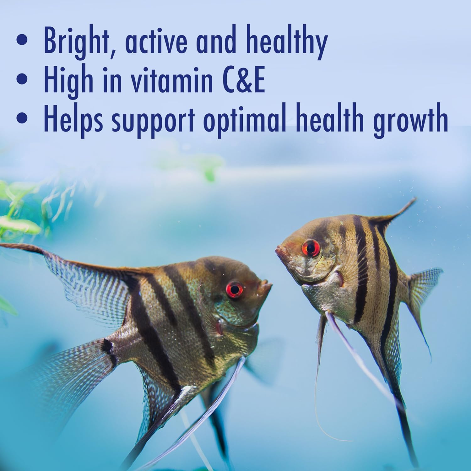 aquarian fish flakes