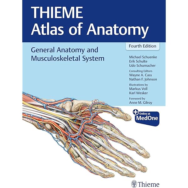 Head, Neck, and Neuroanatomy (THIEME Atlas of Anatomy