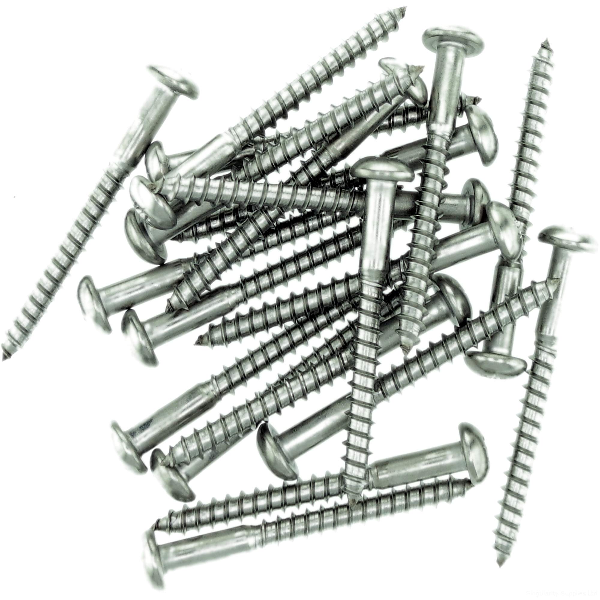 No.6 x 0.78 (3.5mm x 20mm) Pozi Pan Wood Screw - Stainless Steel (A2) (Pack of 20)