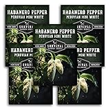 Survival Garden Seeds - Mini White Habanero Pepper