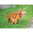 Pooping Chihuahua 1000 Piece Puzzle for Adults - Funny Puzzle Pranks for Adults, Dog Lovers & Owners. Dog Pooping Puzzle, Poo