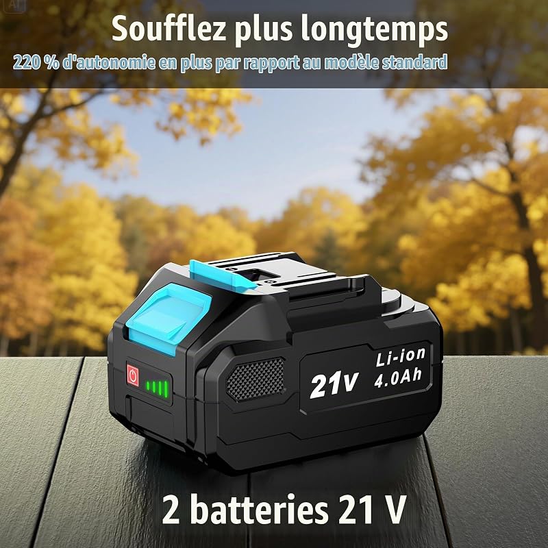 Souffleur Batterie, 21V Souffleur de Feuilles avec 2 Batteries 4,0Ah, 3 Vitesses, 2 Tubes de Soufflage, Sangle Souffleur à Batterie pour Nettoyage de Jardin