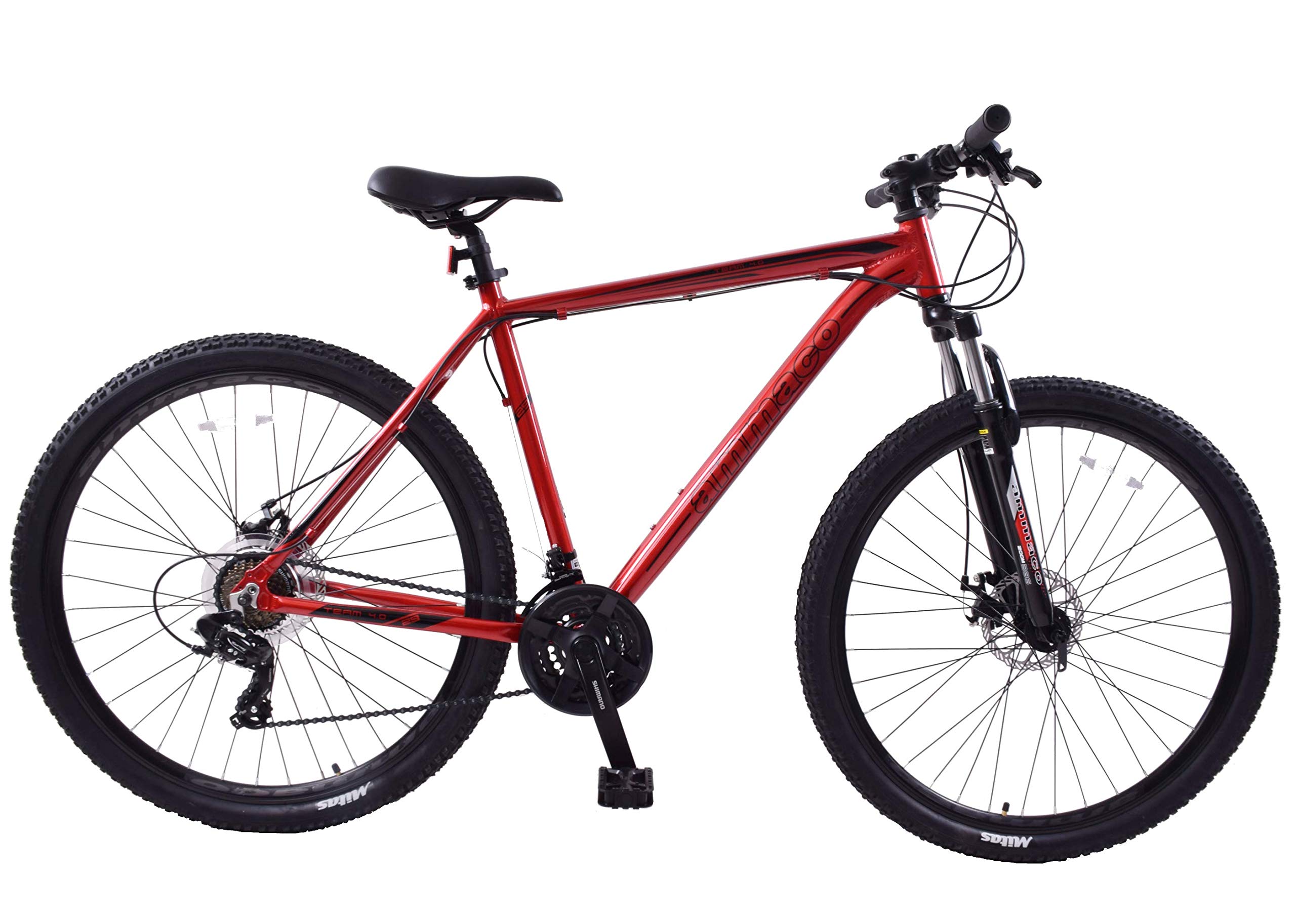 ammaco team 29er