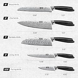 HOSHANHO 5 Pieces Knife Set, Professional Powder