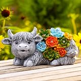 Goodeco Solar Highland Cow Garden Statue with Succulents Grey Resin view 8