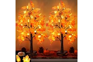 GRASTFU 2 Pack 24 Inch Prelit Fall Maple Tree Fall Thanksgiving Decorations with 48 LEDs Battery Operated Timer Lighted Acorn Maple Artificial Tabletop Light Up Tree for Home Indoor Thanksgiving Table Decor