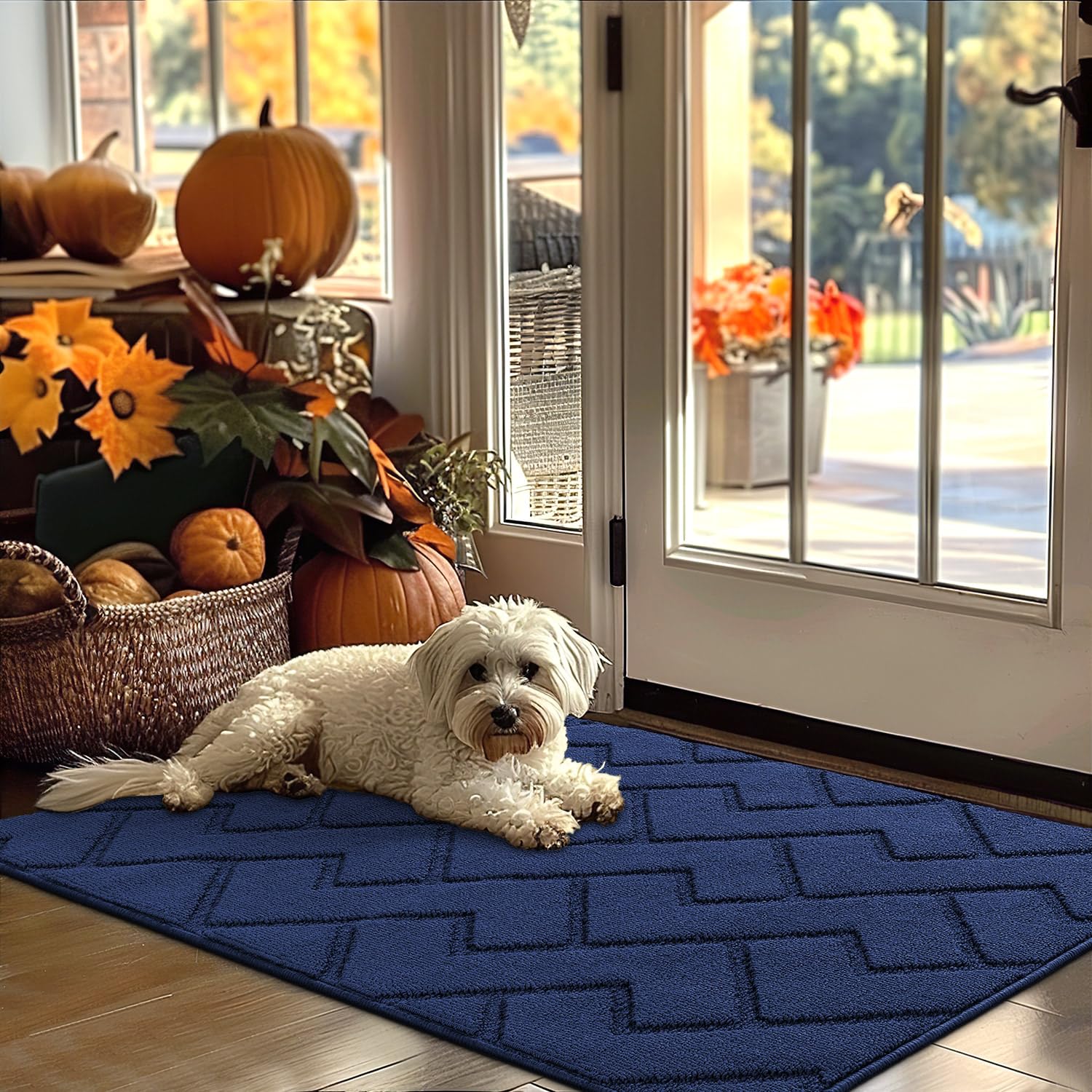 Photo 1 of hicorfe Indoor Door Mat,Non Slip Door Mats,32"x48" Front Back Door Mat Rubber Backing,Absorbent Resist Dirt Entrance Inside Floor Mats for Entryway Washable Low-Profile(Navy Blue)