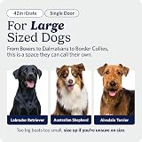 MidWest iCrate 106 cm Single Door Folding Dog Crate with Divider Panel view 2