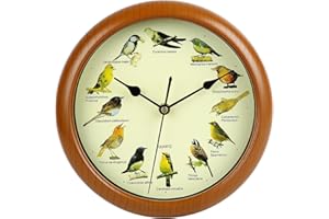 Singing Bird Wall Clock, 10 Inch Hourly Bird Sound Clock with 12 Patterns for Home & Office Decor