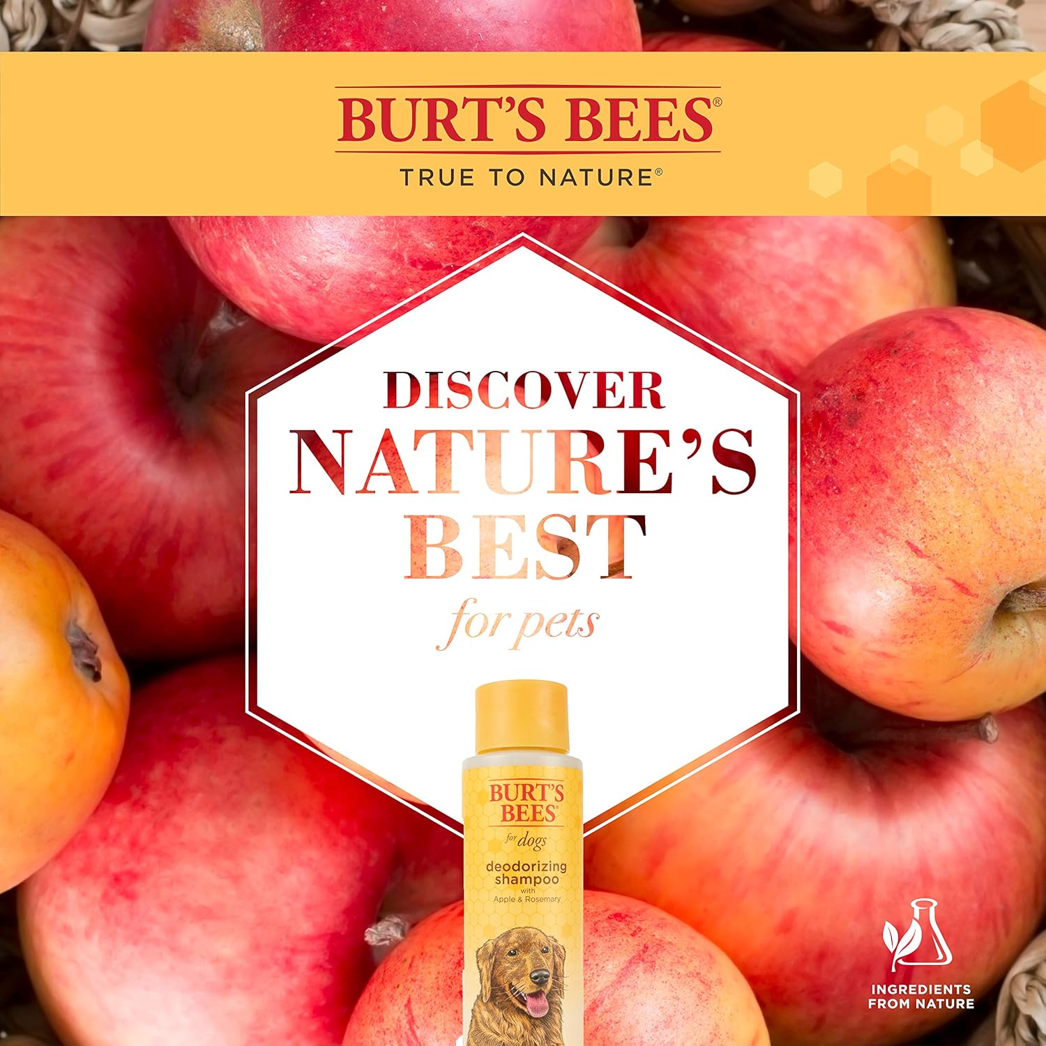 Pet Shampoos : Burt's Bees for Dogs All Natural Deodorizing Dog Shampoo