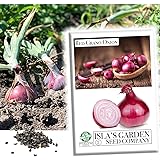 Red Grano Onion Seeds for Planting, 300+ Heirloom