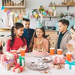96 Pcs S'Mores Camping Birthday Party Decorations