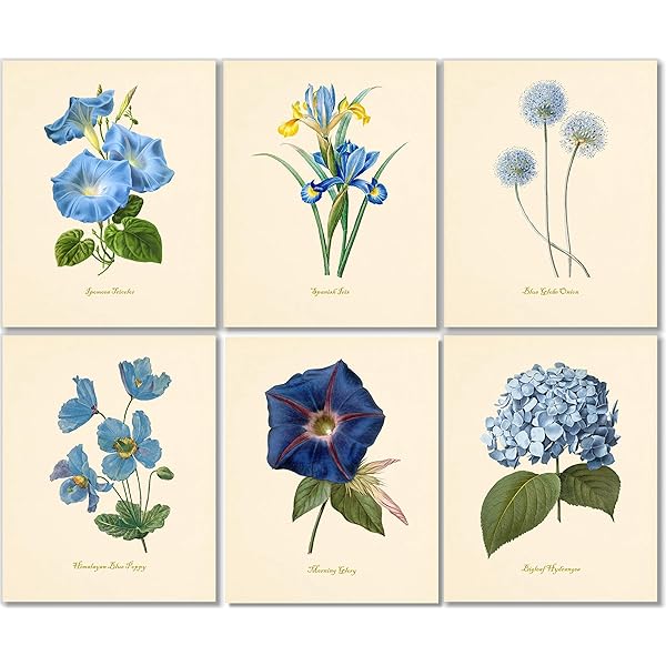 水彩画 Miss Dior by Oliver Gal 水彩画 Miss Dior by Oliver Gal 水彩画 Miss Dior by Oliver Gal