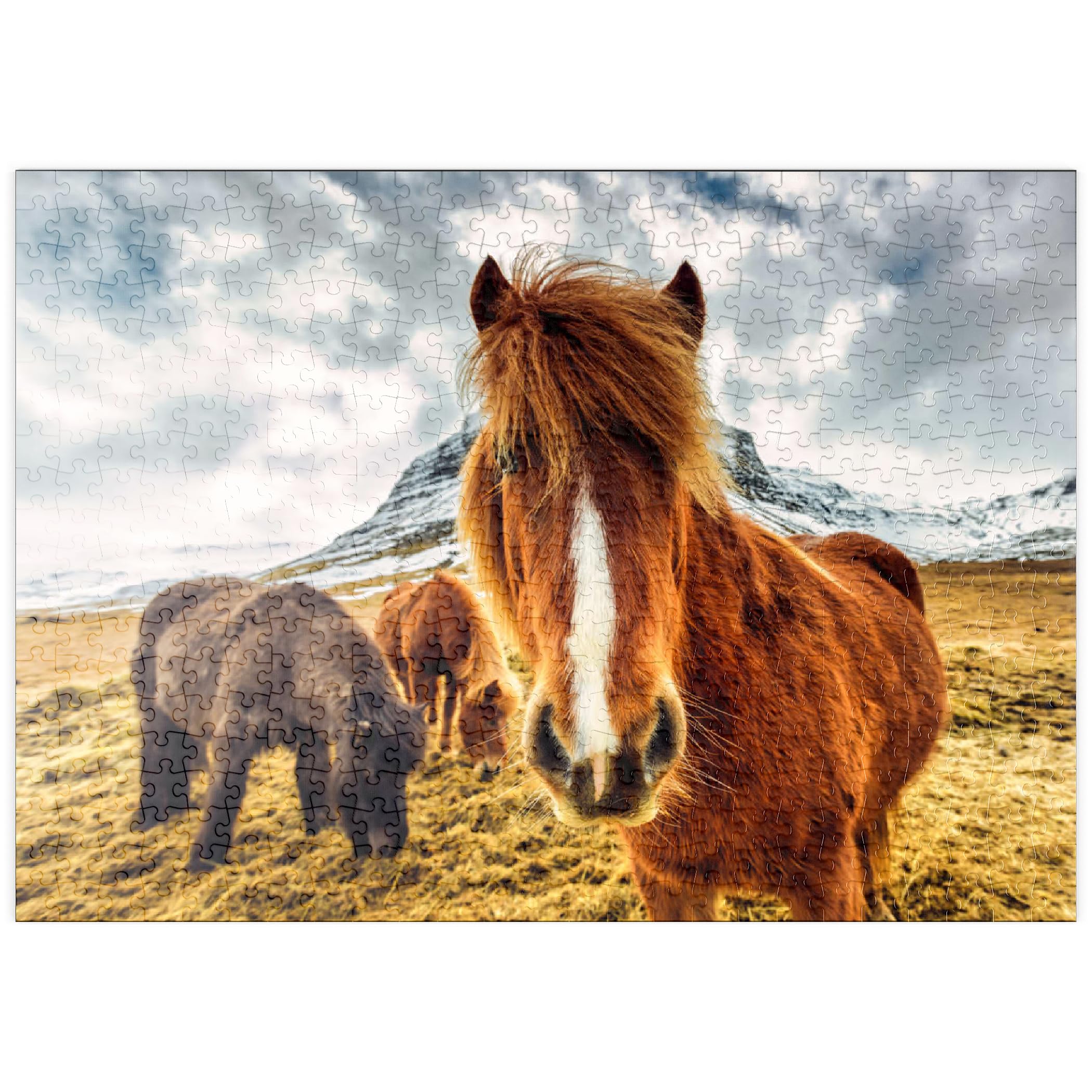 Horses In The Mountains Of Iceland - Premium 500 pieces Puzzle - MyPuzzle special collection from Puzzle Galaxy