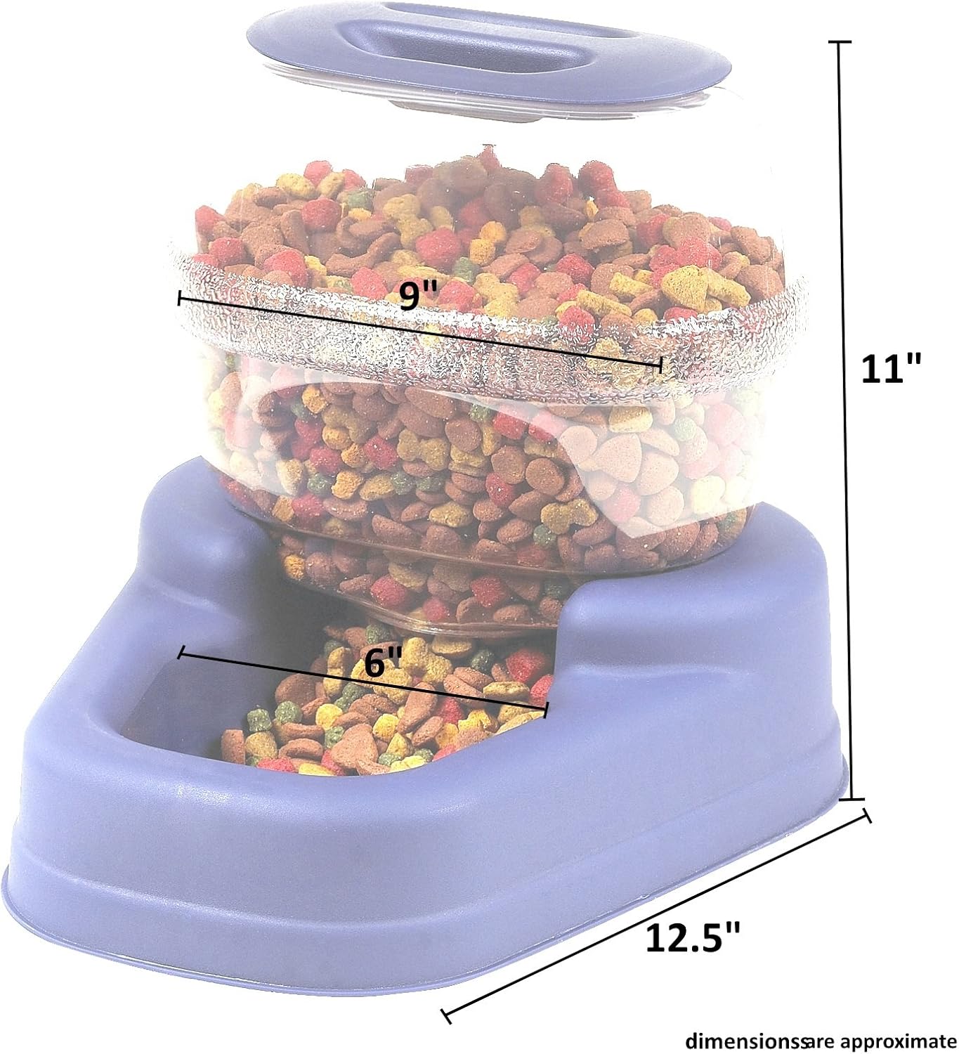 Bergan Petite Gourmet Feeder Combo (Assorted) : Pet Self Feeders : Pet Supplies