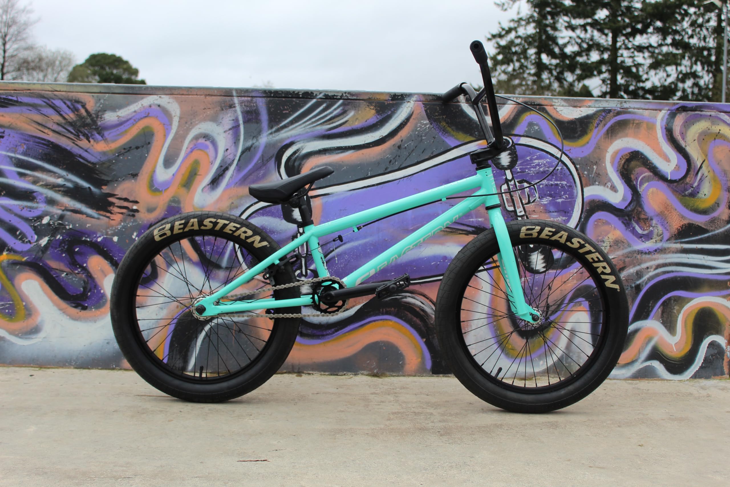 Eastern Bikes Eastern BMX Bikes - Cobra Model 20 Inch Bike. Lightweight Freestyle Bike Designed by Professional BMX Riders at