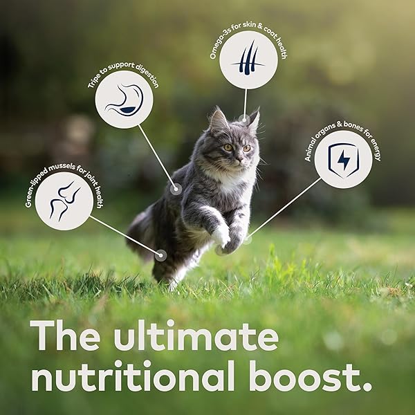 ZIWI PEAK AIR-DRIED CAT FOOD – LAMB – ALL NATURAL, HIGH PROTEIN, GRAIN FREE, LIMITED INGREDIENT W/ SUPERFOODS (35.2OZ)