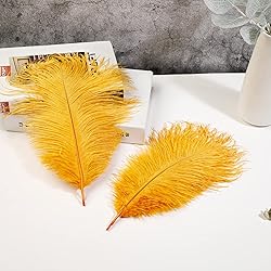 Soarer Gold Ostrich Feathers for Crafts - 15 pcs