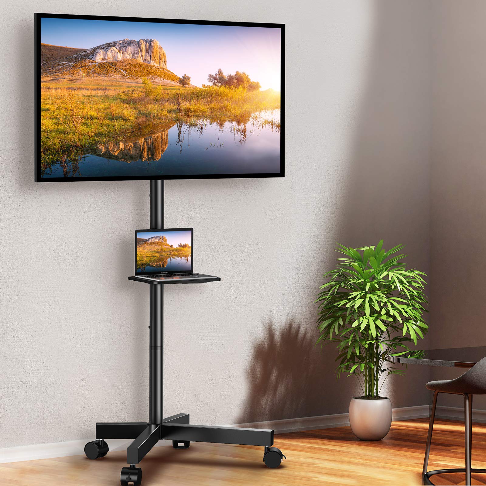 https://images-na.ssl-images-amazon.com/images/I/81tfYtrSSAL.jpg