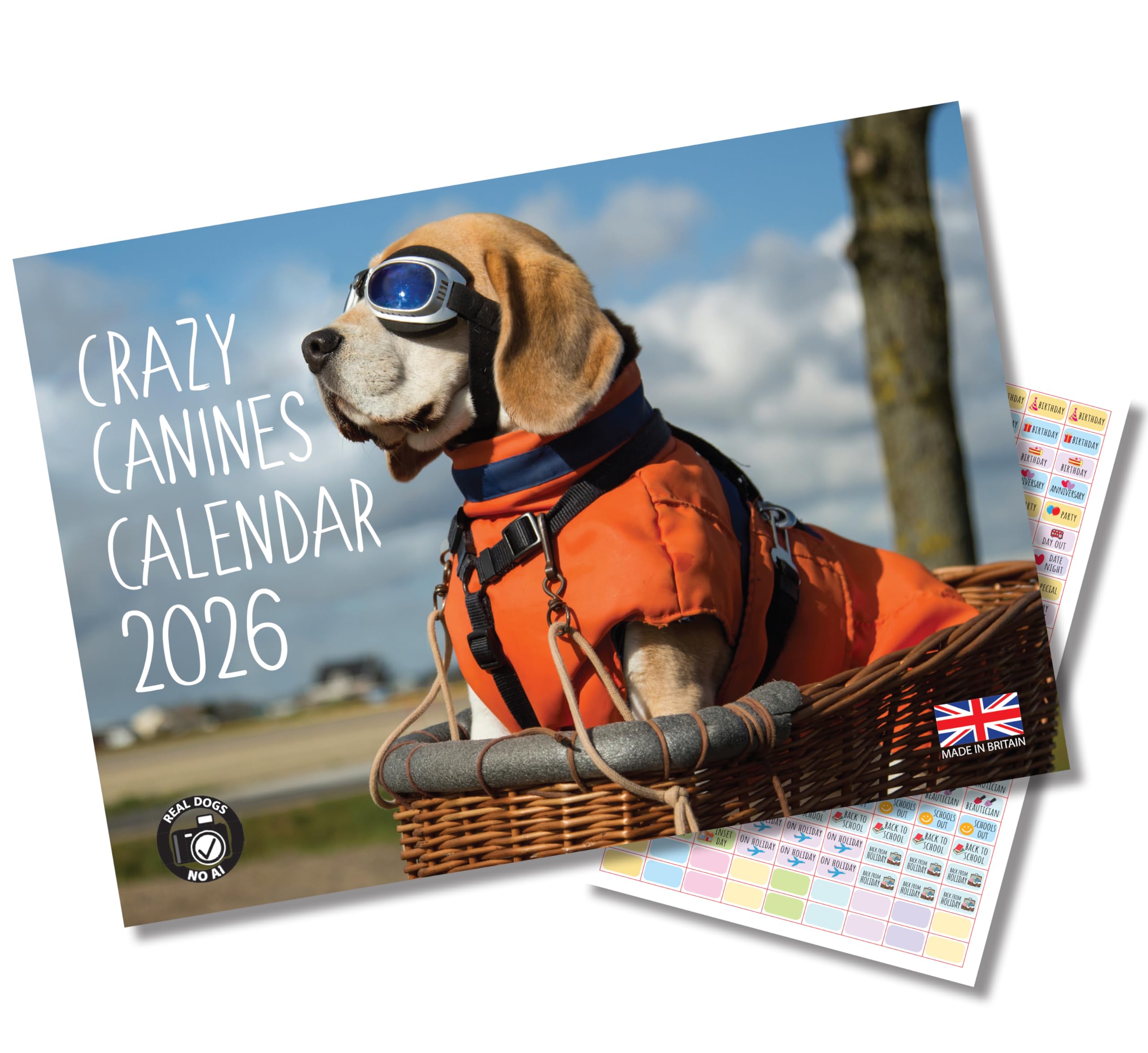 2026 A4 Dogs calendar. Crazy Canines calendar. One Month to View. A3 when open. Funny Dogs Wall Calendar by Absolutely Yours.