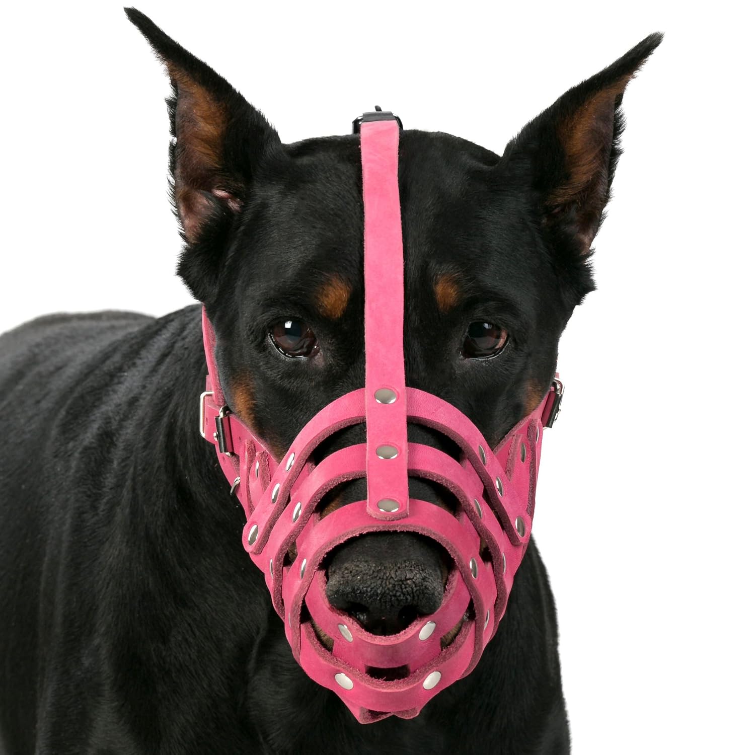 pink basket muzzle