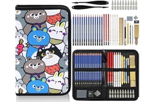 Daerthotk 53 PCS Drawing Kit Sketching Pencil Set, Sketch Pencils Art Supplies with Graphite, Charcoal, Blending Tools, Drawing Pencils for Artists Adults Beginner Family Friends