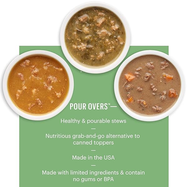 THE HONEST KITCHEN PUMPKIN POUR OVERS WET TOPPERS FOR DOGS (12 PACK), 5.5 OZ – SALMON STEW