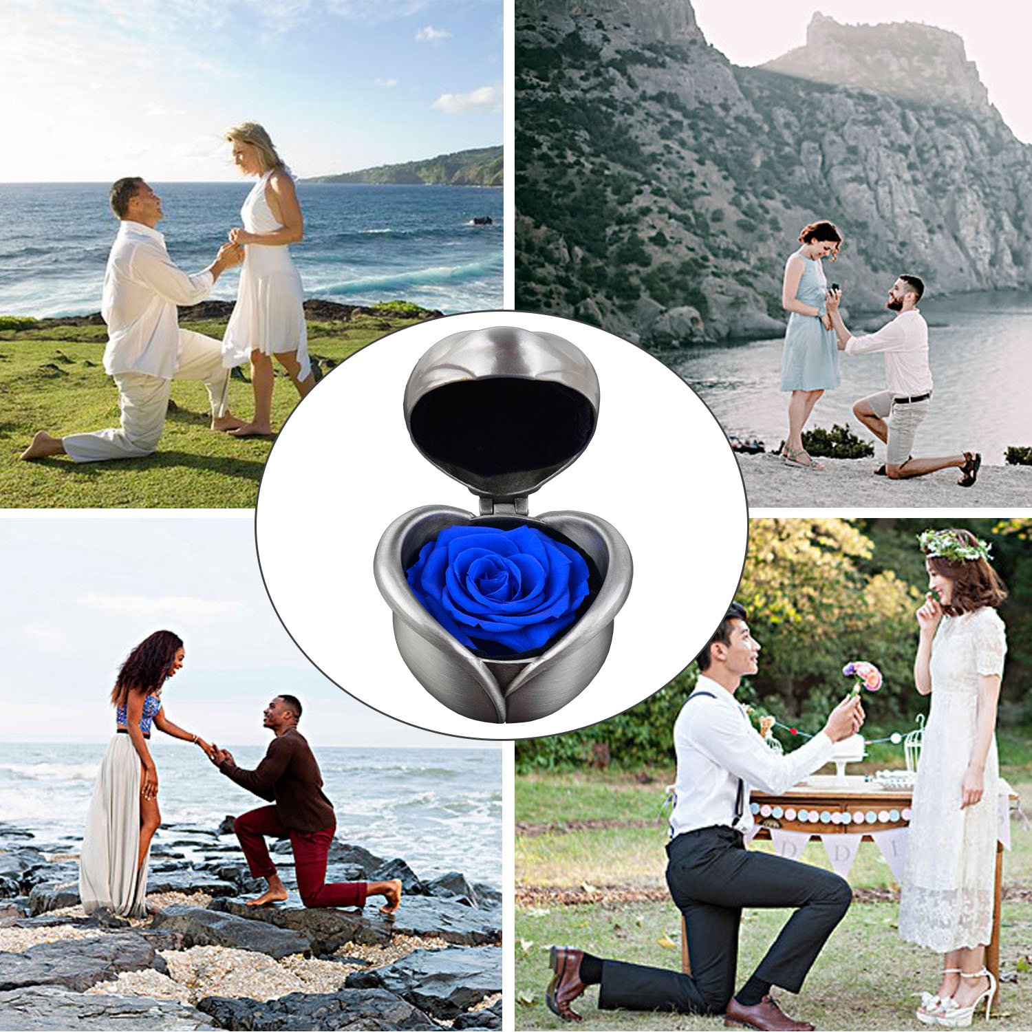 Preserved Rose Flower, Coxeer Forever Rose Never Withered Roses , Upscale Immortal Flowers, Fresh Roses, Eernal Life Flowers Proposal Wedding Birthday Valentines Day Gifts for Women Mom Gril Her