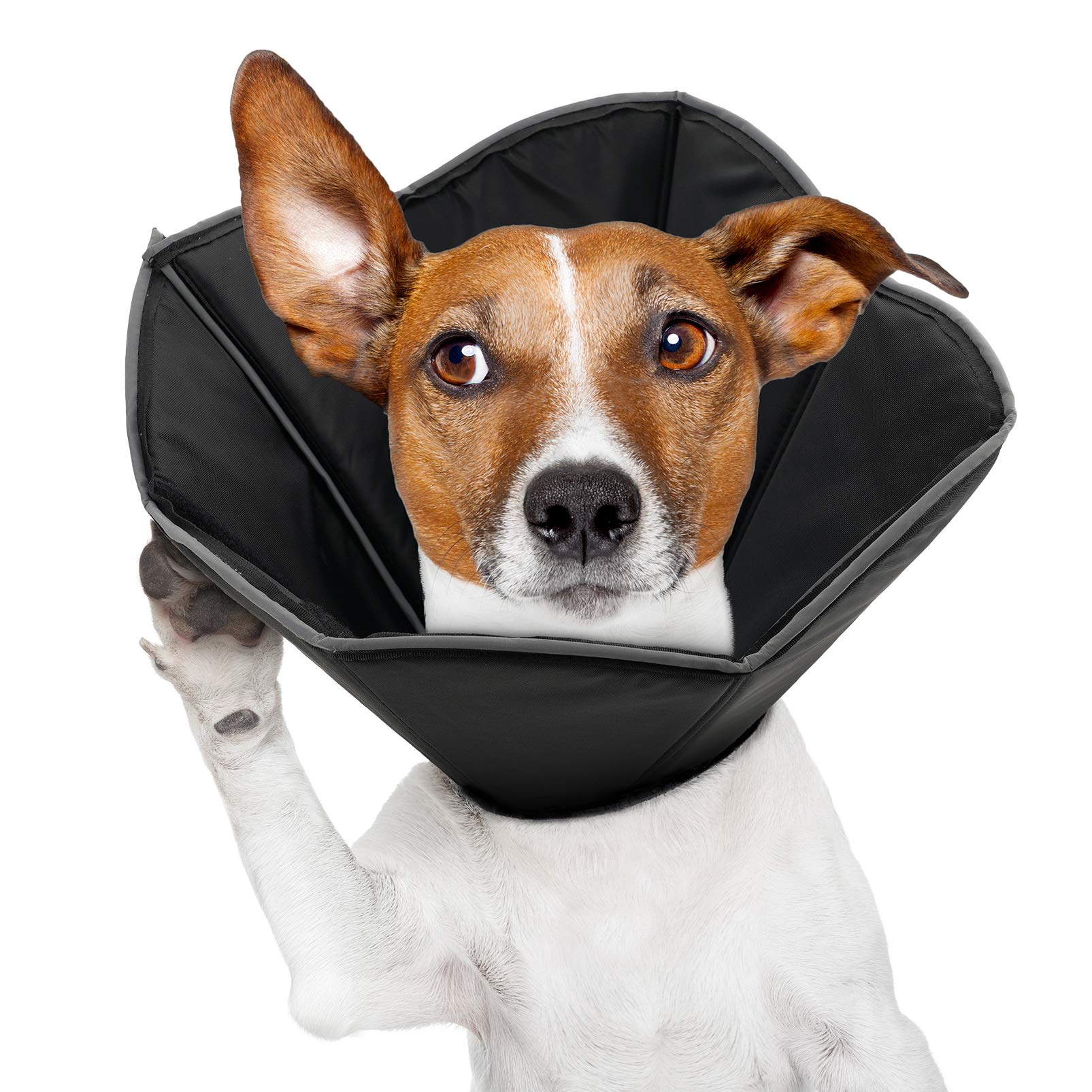 Ranphykx Dog Cone Collar for Surgery, Pet Recovery Collar for After Surgery, Dogs & Cats Soft Recovery Collar Protective Collar Suitable for Large Dogs Wound Healing