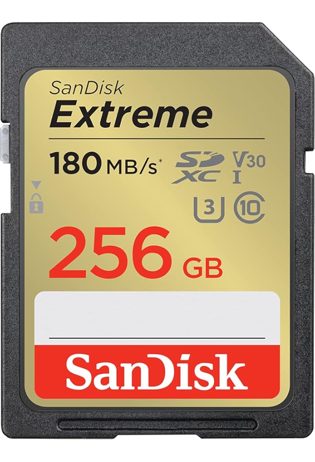 Amazon.com: SanDisk SD Ultra 256GB Memory Card for Camera