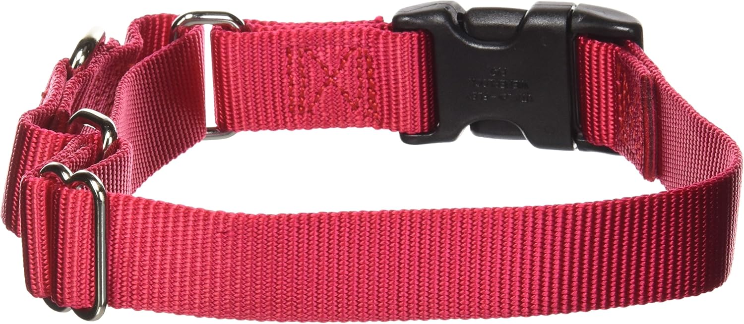 PetSafe Martingale Collar with Quick Snap Buckle, 1Inch Medium, Red