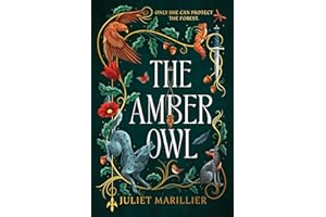 The Amber Owl (The Heartwood Duology Book 1)